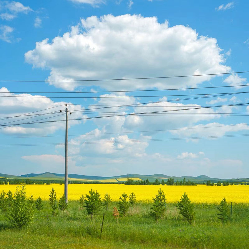 Steel Power Transmission Pole